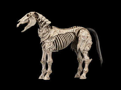 【2027年中期発送予定】Mythic Legions スケルトンスティード (Skeleton Steed) RF3
